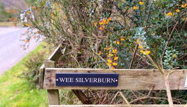 Wee Silverburn - Photo 2