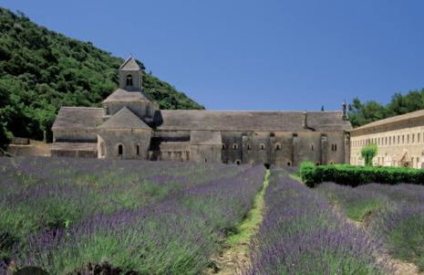 Borie en Provence - Foto 39