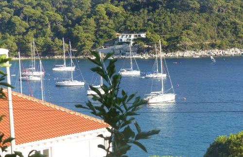 Apartments Pavlić - Photo 37