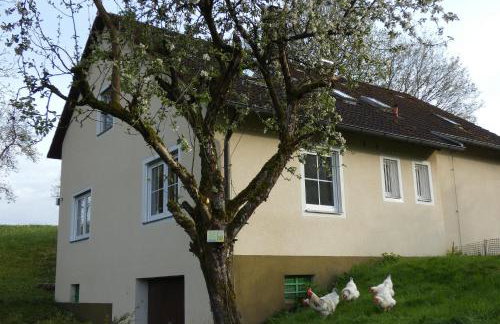 Weisses Huhn von Moschendorf - Photo 1