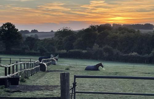 Scotland Lodge Farm, Stonehenge - The Stalls & The Stable Loft - Pets by agreement in the Stable Loft - Foto 21