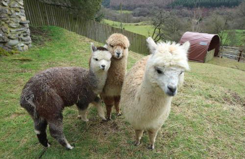 3 Bedroom Barn Conversion with HOT TUB-Garden View - Ty Cerrig Barn - Photo 27