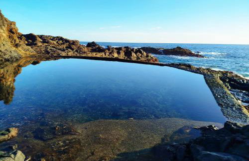 Natura punta - Photo 17