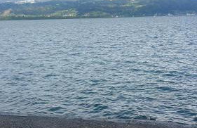 Tolle Inselwohnung mit Seeblick - Foto 12