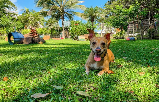 Puerto de Luna Pet Friendly & Family Suites Hotel - Photo 71