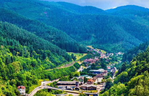 RelaxApartments BLACK FOREST DIAMOND direkt an der Hornberger Freilichtbühne - Sonnenterrasse mit Blick auf das Hornberger Schloss, schnelles Internet, für bis zu 2 Personen - Foto 14