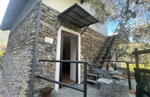 Apartment Asplanato - DOL161 by Interhome - Foto 20