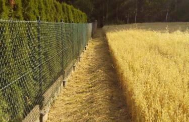 Dom Wakacyjny Quattro Niesulice - Foto 11