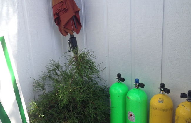 Beautiful Wisconsin Beach Retreat Lake Lucerne - Foto 45