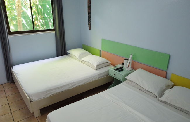 Bohemian Monkey - Foto 4