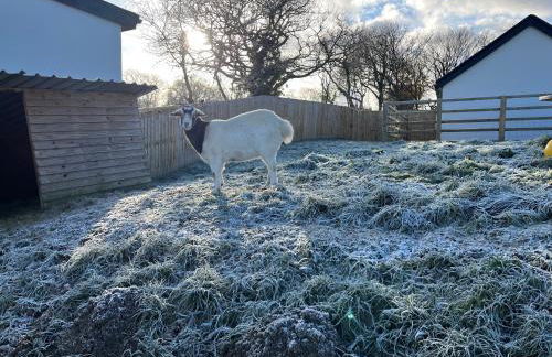 Willow Cottage - Foto 28