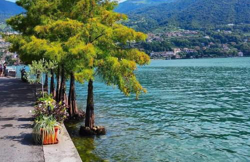 Home La Torre next the station - Foto 27