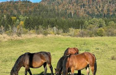 Kuća za odmor Petra - Foto 25