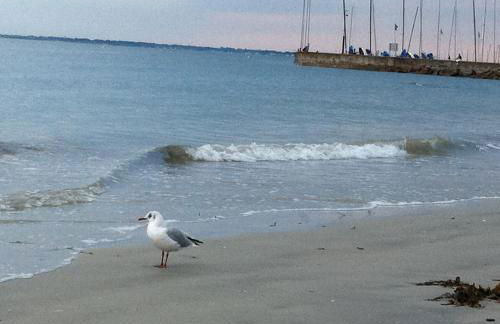 Une halte entre terre et mer - Foto 18