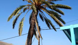 Tony's Rooms - Foto 5