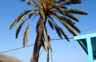 Tony's Rooms - Foto 5