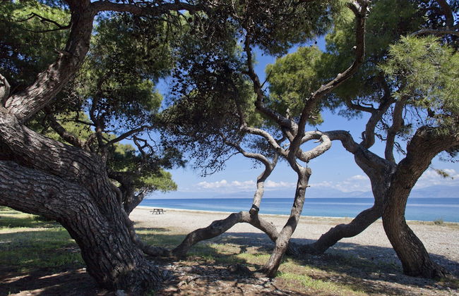 Daphne's Club Hotel Apartments - Foto 40