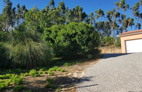 Luar do Cano - Foto 32