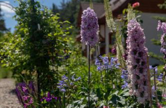 Cottage on the Hill - Foto 20