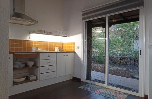 Dos Violetas - Foto 15