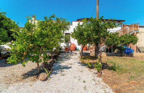 Cozy Home In San Marco Castellabate - Foto 10