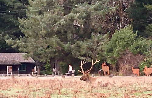 Beautiful Ocean View Cabin and Hot Tub! - Foto 65