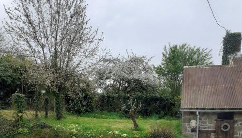 Wildberry cottage - Foto 4