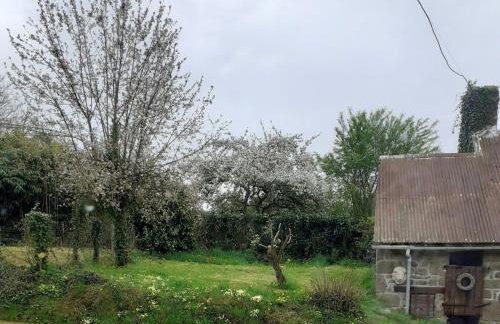 Wildberry cottage - Foto 4