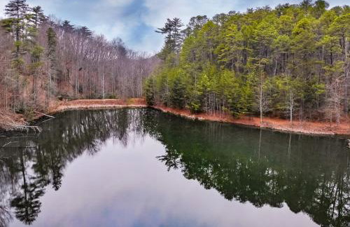 Alpine Joy-Hot Tub, Pond Access ,Cozy Cabin Retreat in the Smokies - Foto 1