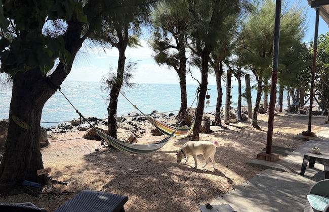 The Place at the Sea - Foto 1