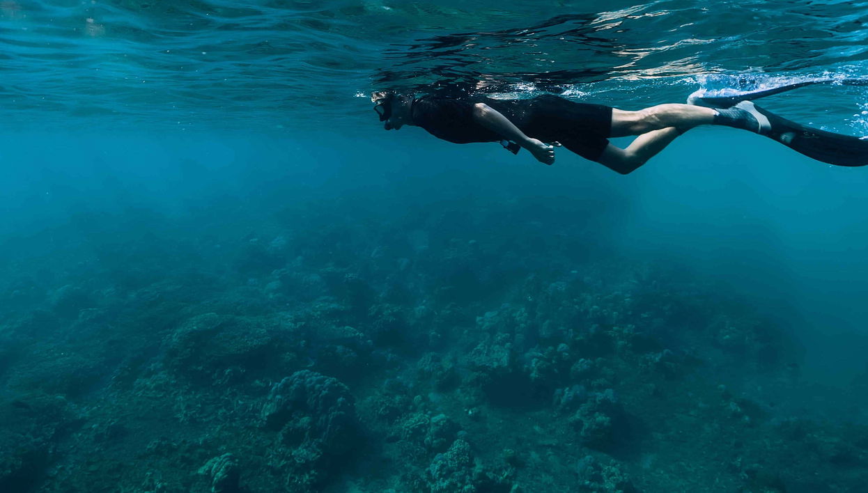 Snorkeling in São Miguel - Foto 1