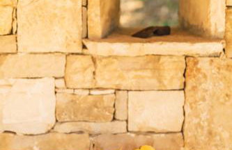 Villa Kanedolo - Foto 51