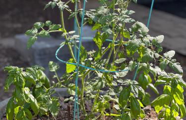 Just Peachy 2BR 2BA Private Luxury Apartment - Foto 70