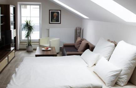 Ringelnatz & Lichtwer - Ferienwohnung Wurzen - Foto 26