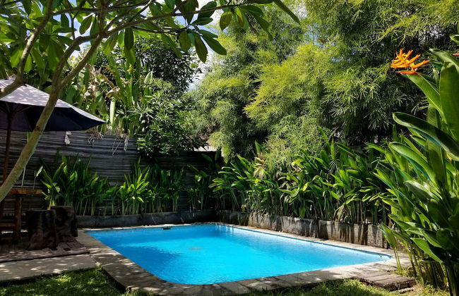 Kampoeng Bamboo - Foto 19