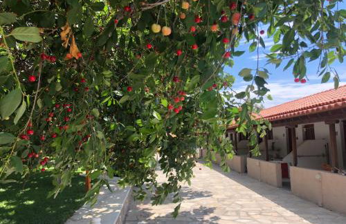 Gregory's Village - Foto 36