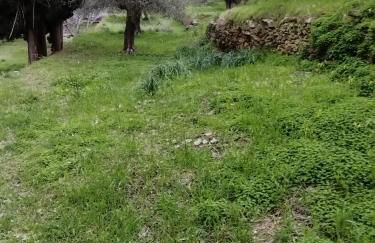 Andros Trecking Paradise Holiday Cottage by "elite" - Foto 53