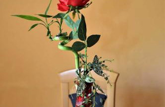 Ferienwohnung Röhrer - Foto 71