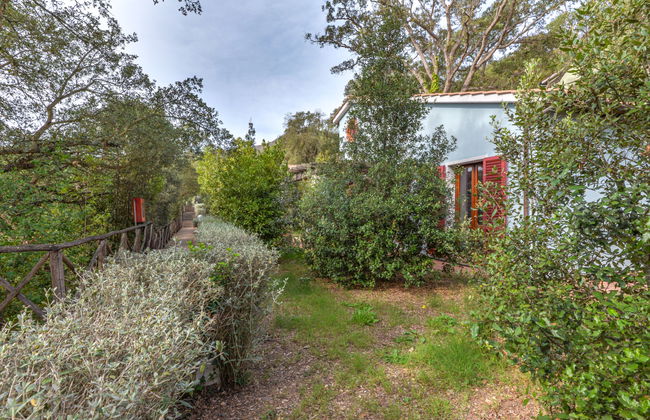 Mezzo Ortano - Foto 33