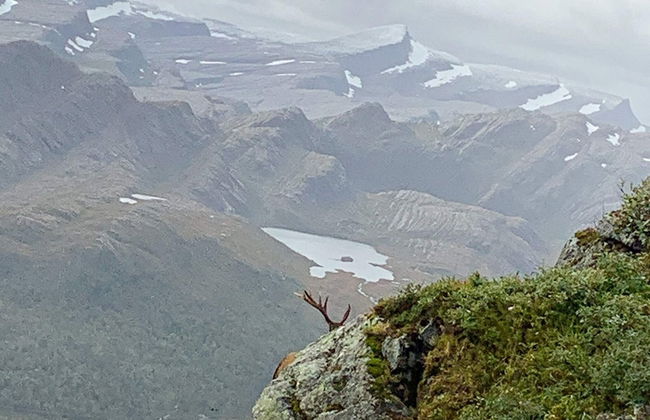 12 Person Holiday Home in Alfoten - Foto 34