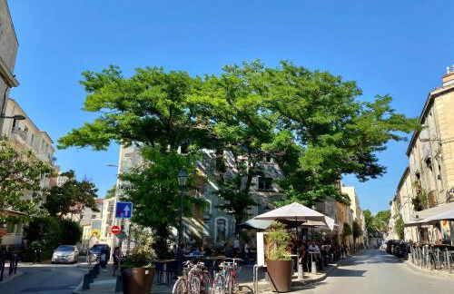 NOUVEAU - Jungle Montpeul - Clim - Wifi fibre - Netflix - 5' du centre et gare - Parking - Loggia - 15' des plages - Foto 16