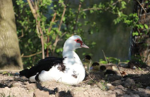 Döllelhof Erding - Foto 40