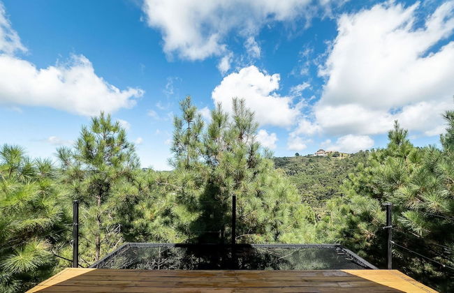 Chales Naturale - Campos do Jordão - CNA - Foto 27