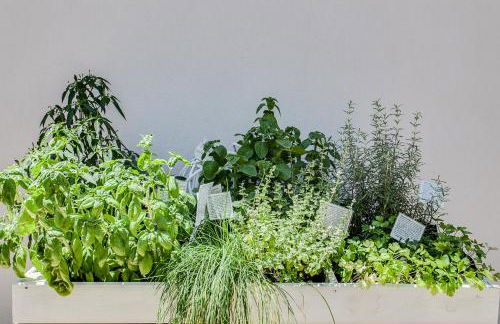 Residenza Aurora del Mare - Foto 49