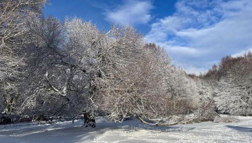 La Pilli a Monte Livata - Foto 3