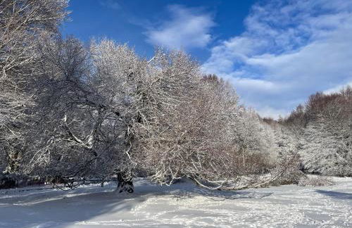 La Pilli a Monte Livata - Photo 3