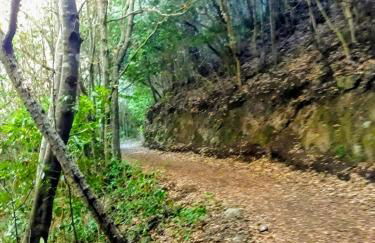 Un Paraiso En Tenerife - Foto 28