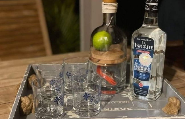 DOMAINE DE MAPOU - Photo 42