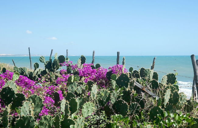 Casa com Piscina no Iguape 50m do Mar - Photo 28