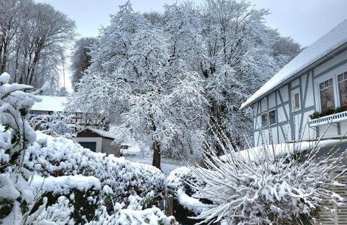Ferienhaus Landhaus Am Hirtzborn - Foto 72